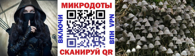 Галлюциногенные грибы Magic Shrooms где можно купить наркотик Красково